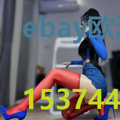 ebay欧洲站网址